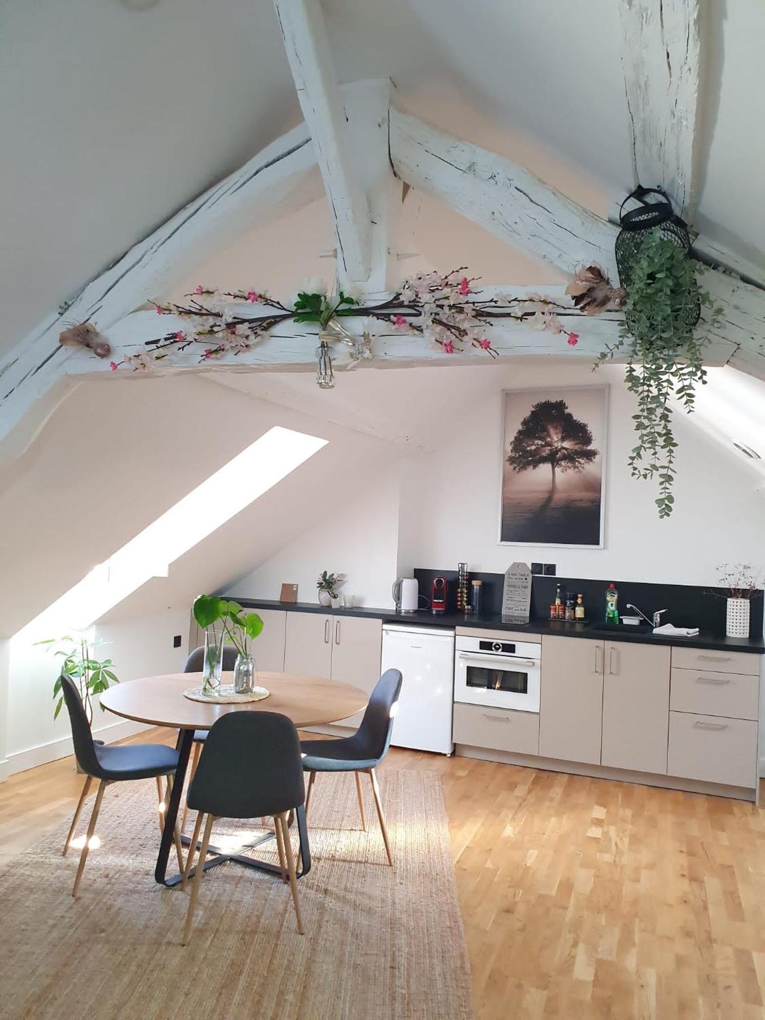 Quietude Au Bord De Loire. Appartement Orléans Buitenkant foto
